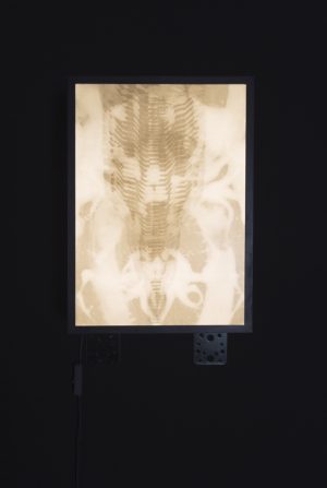 The Drill II, medium and pencil on two layers of paper, light box, 42 x 30, 2019