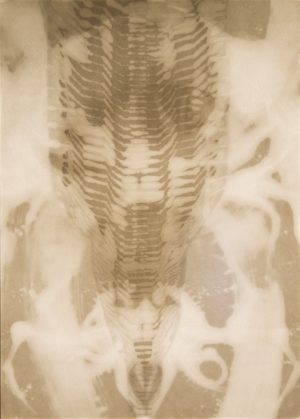 The Drill II, medium and pencil on two layers of paper, 42 x 30, 2019