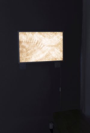 Sunrise from a long time ago, medium on three layers of paper, light box, 42 x 60, 2019