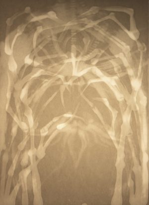 Palpate, medium on paper, light, 40 x 30, 2017
