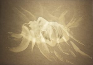 Bipolar, medium on paper, light, 30 x 40, 2016