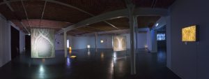 Installation view, Living Creatures, Vaasa Art Hall, October 2020
