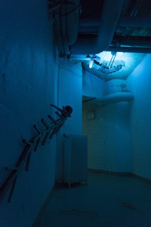 Geminal installation view July 2021