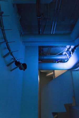 Geminal installation view July 2021