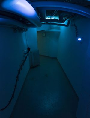 Geminal installation view July 2021