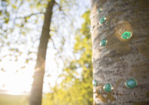 Green gaze, reflective installation made for Saari residence´s Cultural trail´s aspens, 2023