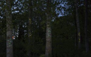Green gaze, reflective installation made for Saari residence´s Cultural trail´s aspens, 2023