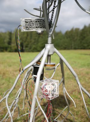 Detail of Heliotrope, 2024