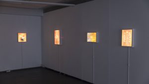 Installation view of Citrinitas, Gallery Huuto, Sep-Oct 2025. Installation view of Citrinitas, Gallery Huuto, Sep-Oct 2025.